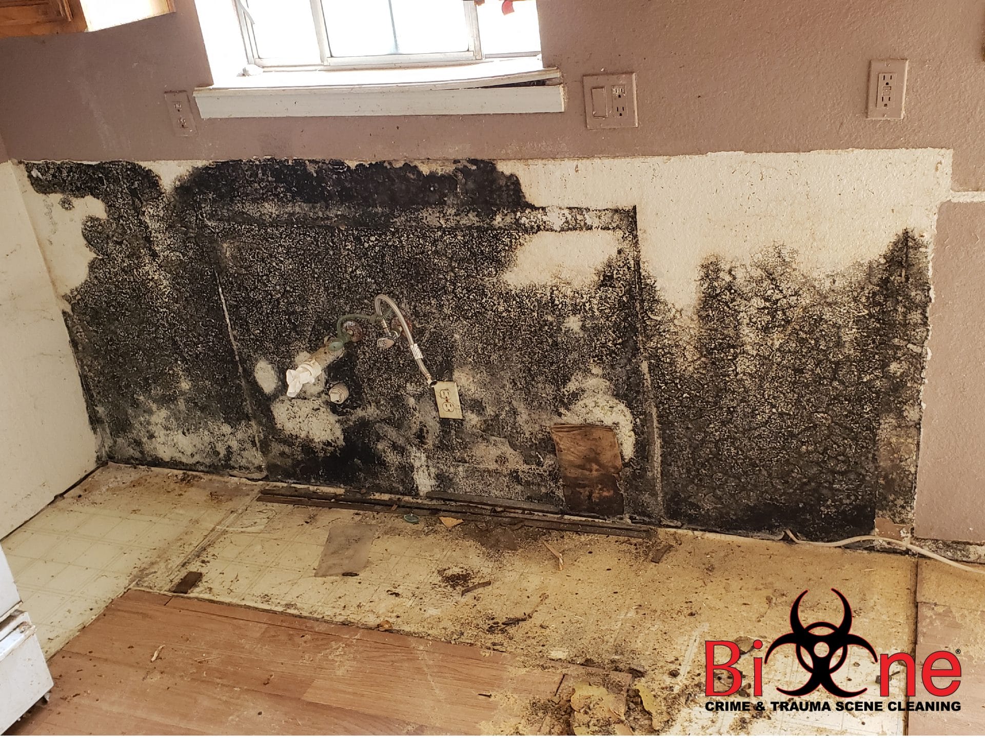 Mold damage might not be visible until it has completely damaged household items and building structures. Bio-One of St. Paul can help you! 
